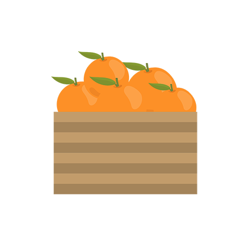 Hasil Panen Melimpah dari Kebun yang Terawat